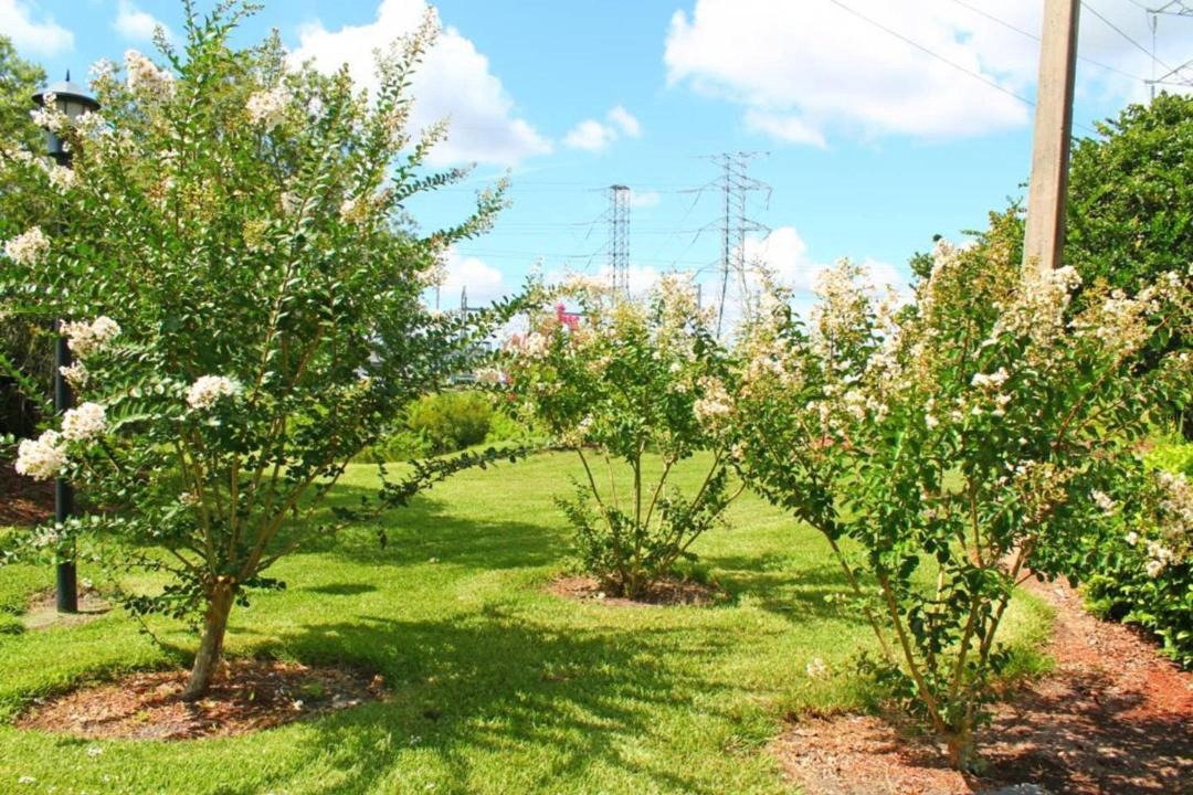 Photo of Outdoor in Ventura