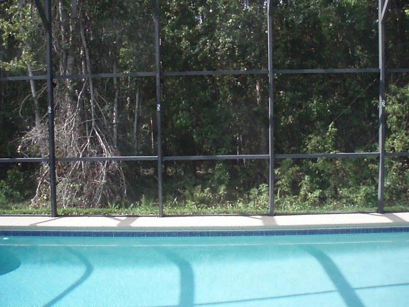 Photo of Outdoor in Sandy Ridge