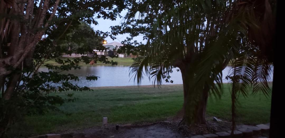 Photo of Others in Buena Ventura Lakes